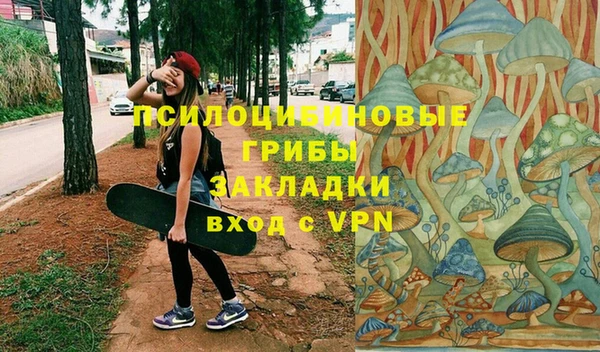тгк Кулебаки