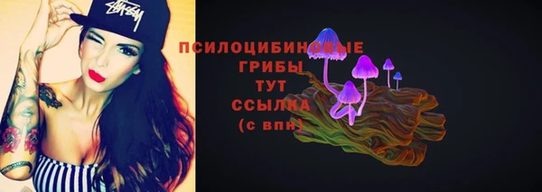 гидра Костерёво