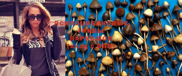 MESCALINE Корсаков