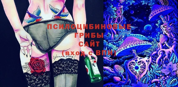 тгк Кулебаки